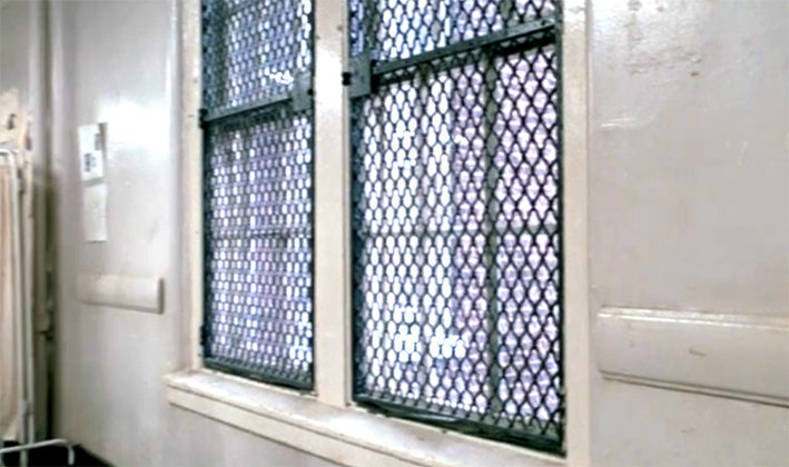 Die Fenster der Klinik im Film Zeit des Erwachens sind vergittert, was an die Stäbe im Käfig von Rilkes Panther erinnert. Marshall, Penny: Zeit des Erwachens [Film]. Indien, Vereinigte Staaten 1990, Lasker/Parkes Productions.